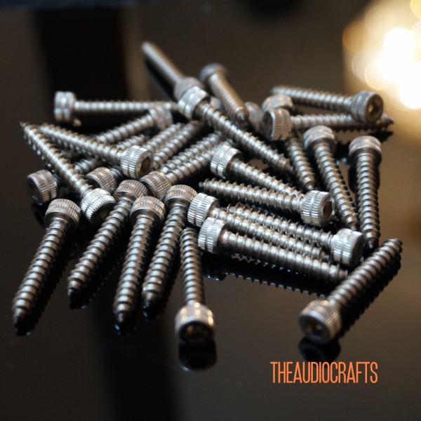 Speaker Screw M4 x 1 inch S.S. 304